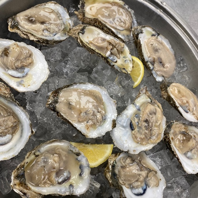 Delicious Oysters Await You